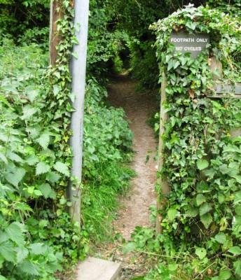 The canal path enters the narrow gap in the trees. The sign says footpath only no cycles 06.jpg