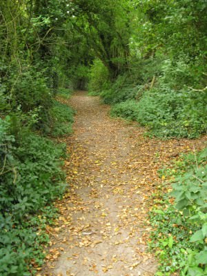 The path leads up Greywell Hill and towards the western portal of the tunnel 07.jpg