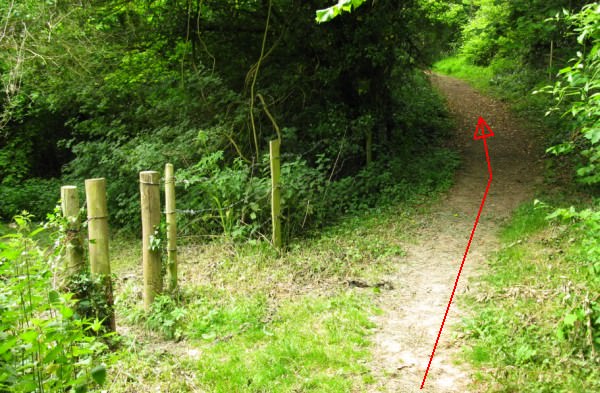 The path leading over Greywell Hill is the right hand fork 08.jpg