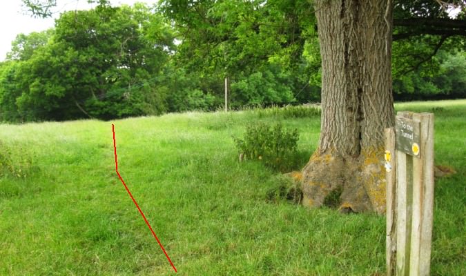 The path over Greywell Hill at the hilltop by these trees where a sign denotes the direction to the tunnel 10.jpg