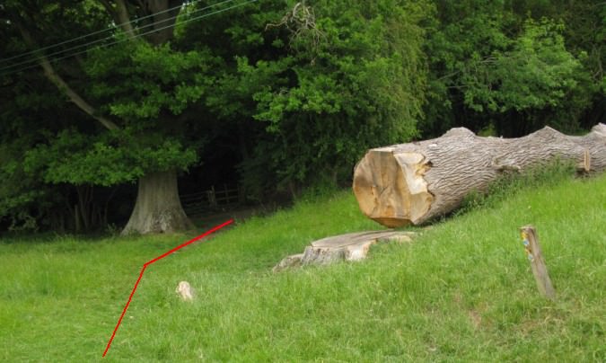 The path leading over Greywell Hill approaches these trees, one is fallen, and turns left through a gate to traverse the woods 11.jpg