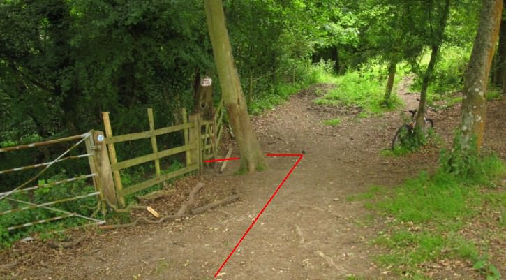 The gate where the path enters the woods 12.jpg