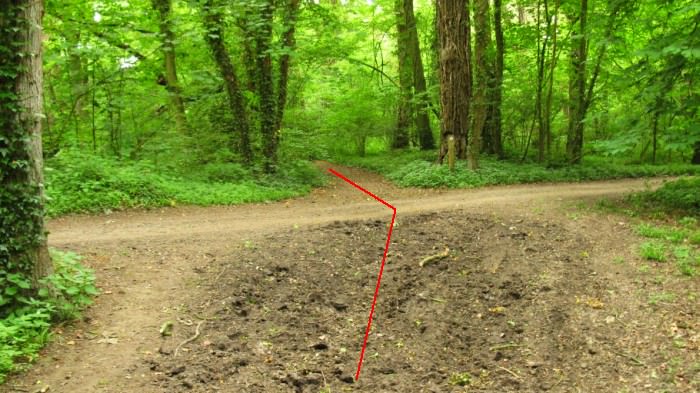 The tunnel path through the woods crosses a dirt track 13.jpg