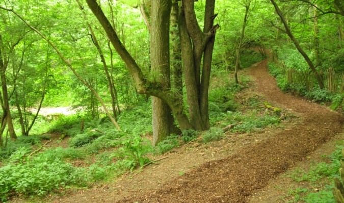 The newly surfaced path as it winds towards the tunnel portal. The canal can just be discerned left centre 17.jpg