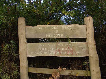 You are entering Gutteridge Wood! Sign near Lyndhurst Gardens