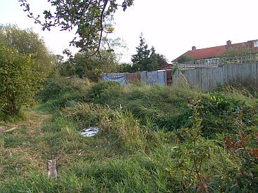 A bit of the feeder behind Lyndhurst Gardens where water can be found and reeds grow