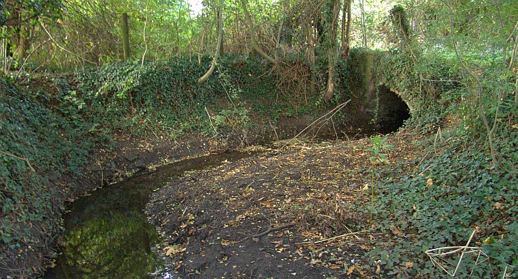 A nice working section of the old canal feeder - picture taken in early spring when undergrowth was minimal