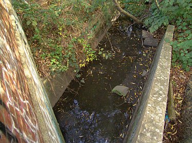 The feeder emerging from its culvert by 'The Wall'