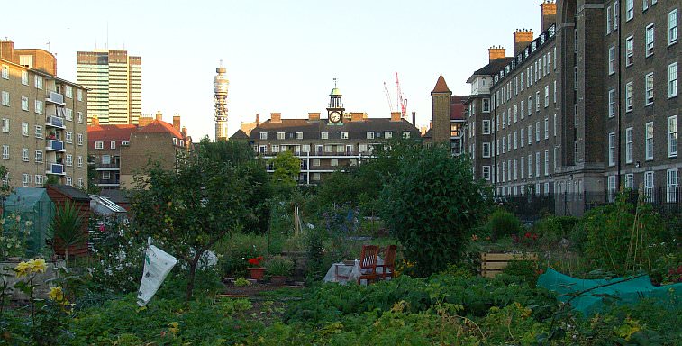 The site of Cumberland basin - now allotments DSC08152.jpg