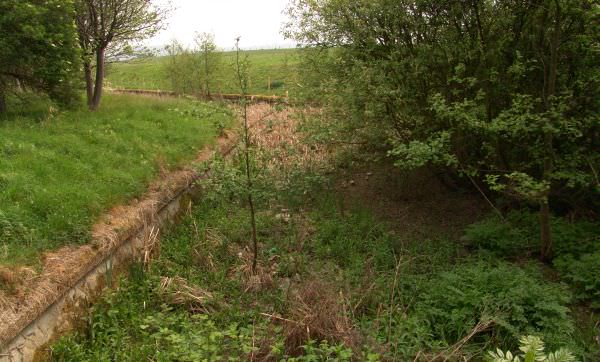 Disused overflow channel at Enfield - built to take excess water from the navigation into the River Lea DSC08657.jpg