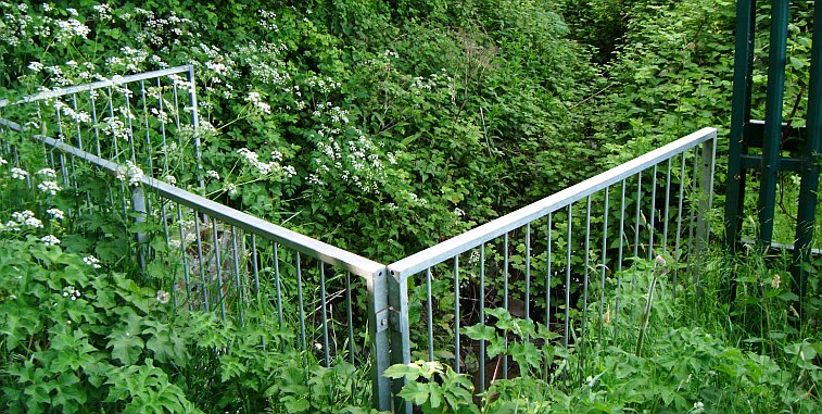 End of the working section of the feeder by the A40. Water from West Ruislip empties into the Yeading Brook - out of sight on right