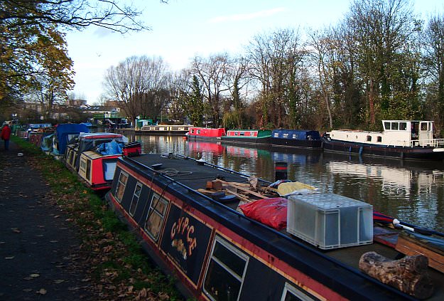 Around the edges of the Walthamstow Marshes - a view taken in November 2012 DSCF0342.jpg