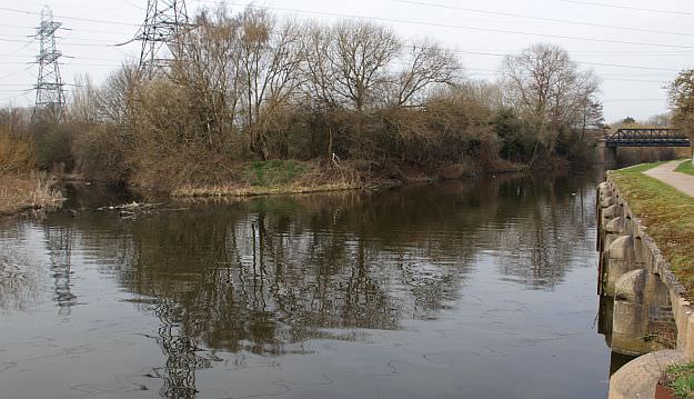 The overflow opposite the confluence with the Turkey Brook. This led into the channel depicted below IMG_3503.jpg