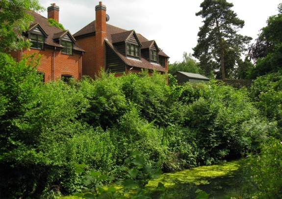 Despite the canal's proximity in Up Nately, there's virtually no sign of the village itself. These new houses give Up Nately a visible presence IMG_3787.jpg