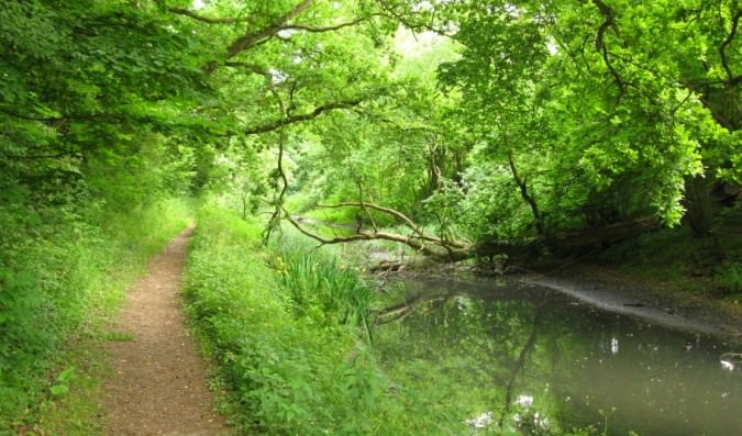 The canal between Eastrop and Slade bridges IMG_3811.jpg