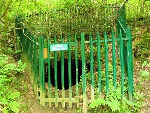 View of the west portal of the tunnel through the fencing IMG_3824.jpg