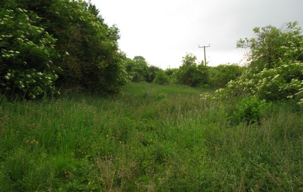 A recent view from middle of canal alignment looking towards Swing Bridge cottages IMG_4141.jpg