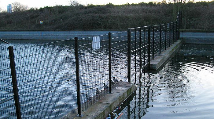 I dont know what this is. Its just above the head of the entrance lock. It seems someone doesnt want people boating into the lock chamber!