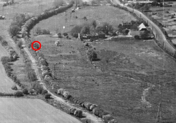Aerial showing the canal route, by this time in the 1960's filled in - and the tree that now stands out in Eastrop Way aerial.jpg