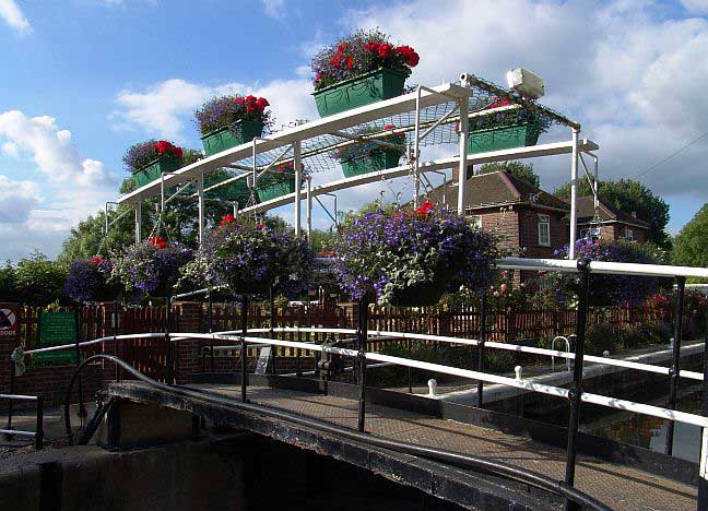 Carthagena Lock is a popular venue in the summer - ice creams available! brox04.jpg