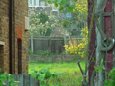 Canal boundary at Devonshire Road #########