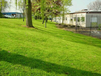Alignment at Goldsmiths near Barridale