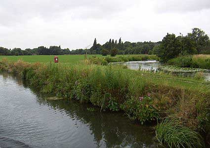 The River Lea winds its way across fields away from the Lee Navigation hert02.jpg