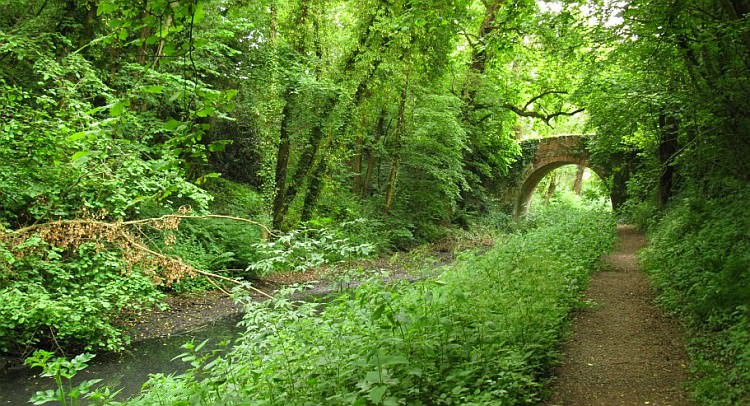 View in Basingstoke direction looking towards Brick Kiln bridge ls27.jpg