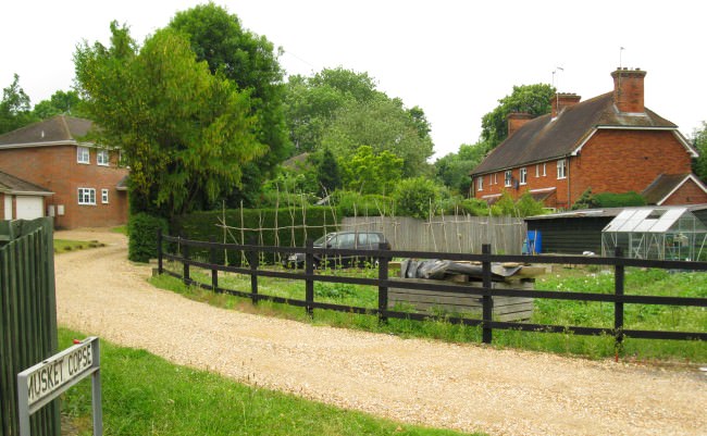 Muskett Copse just off Crown Lane. Beyond is the Basing House canal cutting ls68.jpg