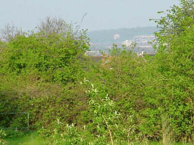 Shooters Hill view today #########